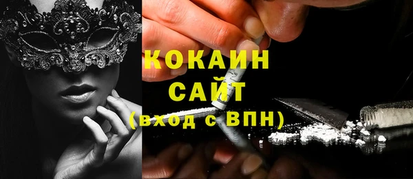 кокс Алексин