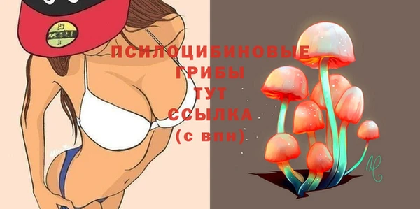 кокс Алексин