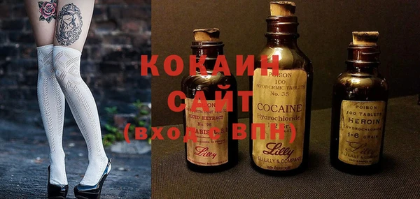 кокс Алексин